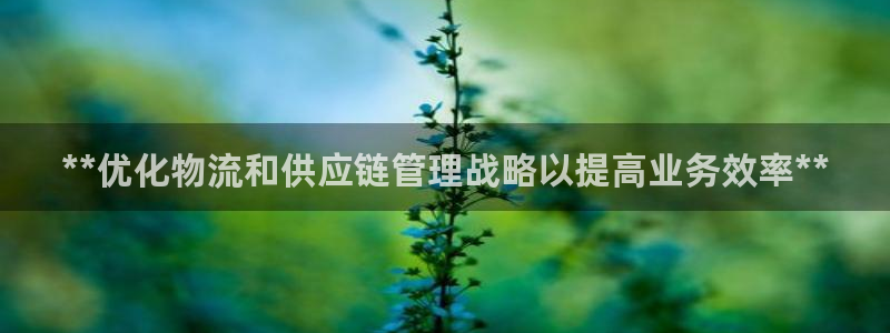 28圈加拿大真假怎么看