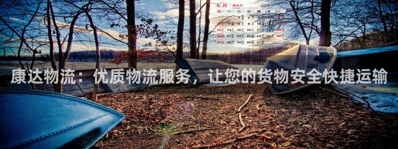28圈ip被限制怎么解决：康达物流：