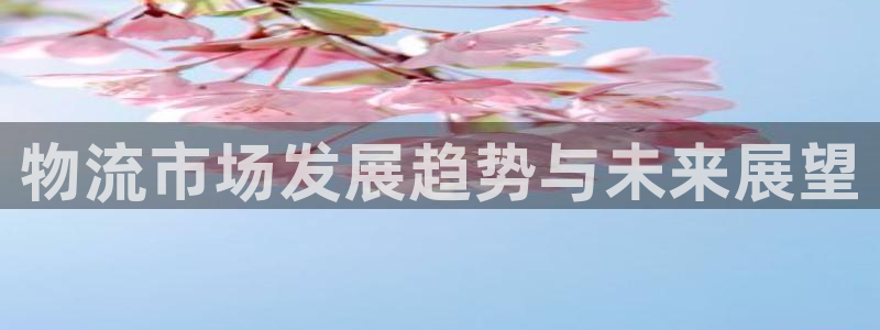 28圈连接：物流市场发展趋势与未来展