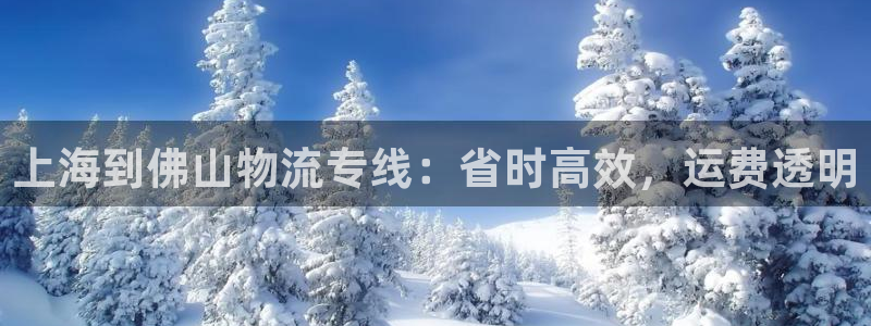 28圈ccm游戏