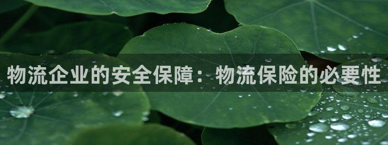 28圈h5链接