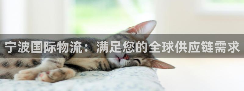28圈app怎么注册账号：宁波国际物