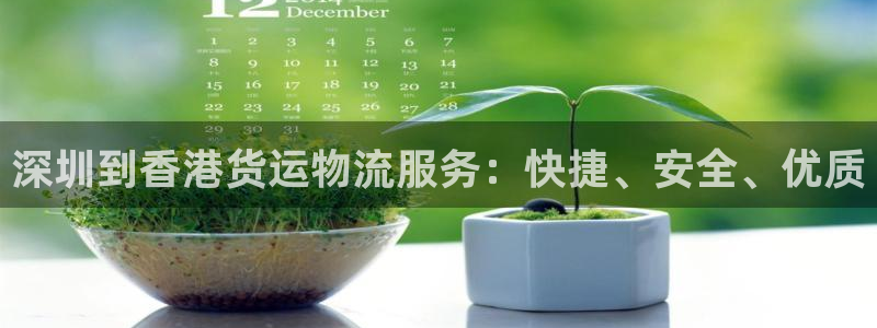 28圈返水怎么算的：深圳到香港货运物