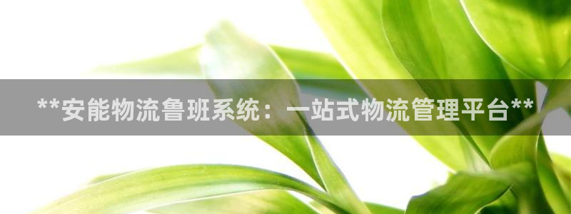 28圈注册账号：**安能物流鲁班系统