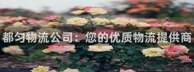 28圈.ccmpcios