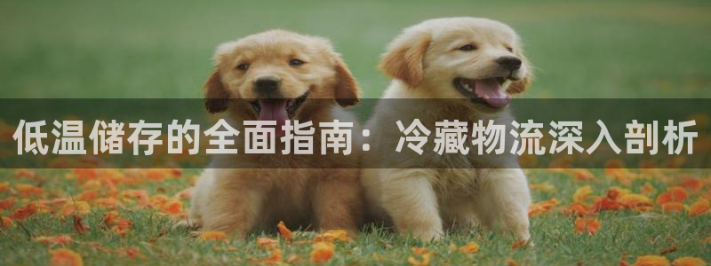 28圈注册用户名是什么：低温储存的全