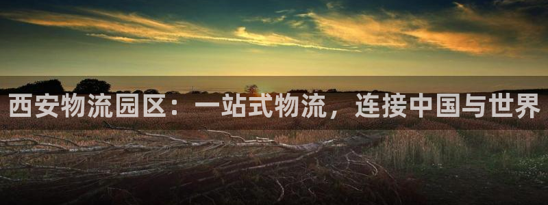 28圈app注册地址：西安物流园区：