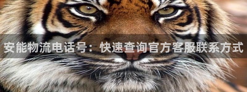 28圈加拿大是什么：安能物流电话号：