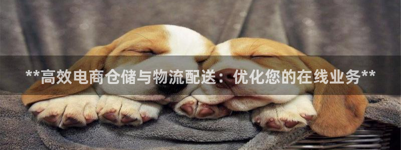 28圈怎么注册：**高效电商仓储与物