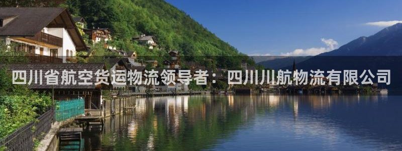 28圈官网版下载：四川省航空货运物流