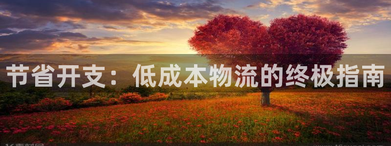28圈网站怎么注册：节省开支：低成本