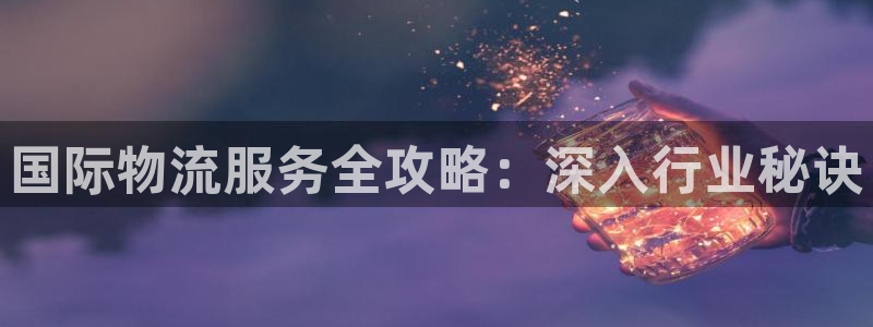 28圈黑款：国际物流服务全攻略：深入行业秘诀