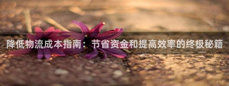 加拿大28圈数字规则：降低物流成本指