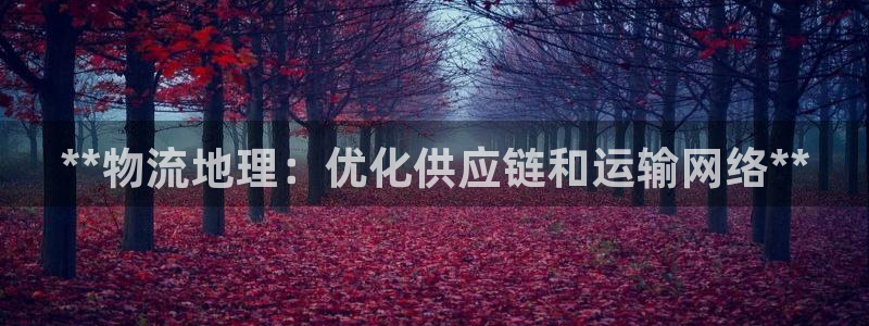 28圈人头费：**物流地理：优化供应