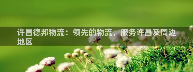 28圈登录网：许昌德邦物流：领先的物