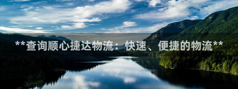 28圈游戏官网入口：**查询顺心捷达