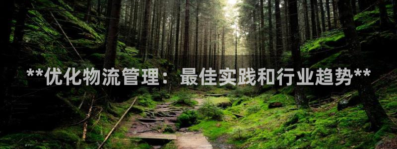 28圈pc预测：**优化物流管理：最
