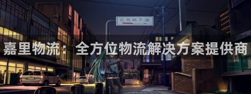 28圈是啥：嘉里物流：全方位物流解决