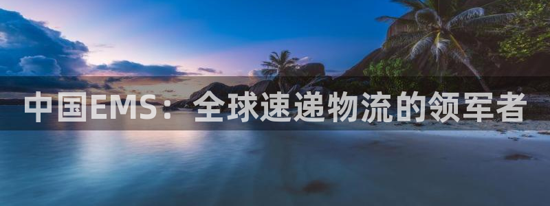 28圈在线预测：中国EMS：全球速递