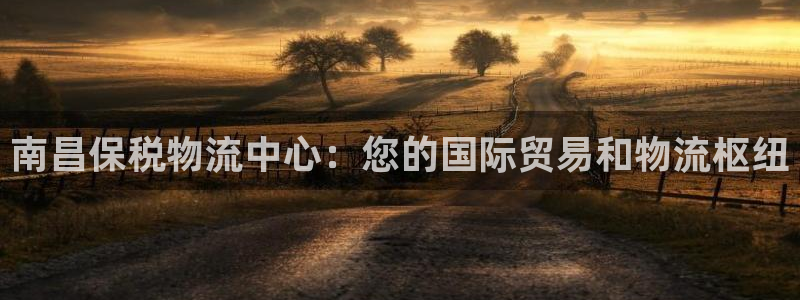 28圈预测加拿大：南昌保税物流中心：