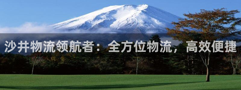 28圈注册条件：沙井物流领航者：全方