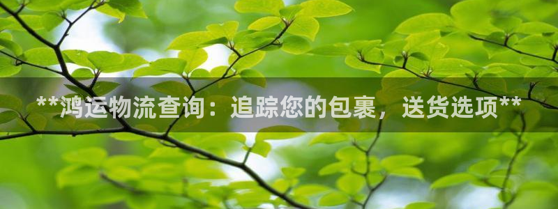 28圈犯法吗：**鸿运物流查询：追踪您的包裹，送货选项**