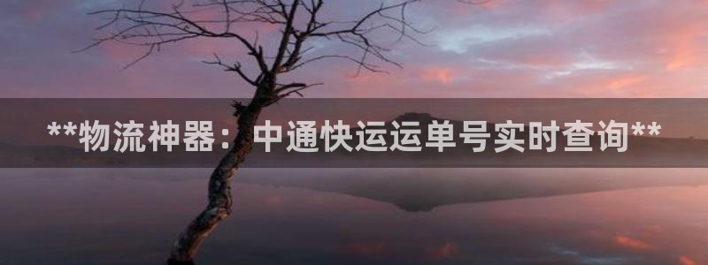 28圈官方平台：**物流神器：中通快