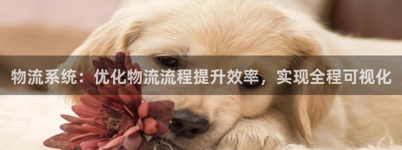 28圈黑钱：物流系统：优化物流流程提