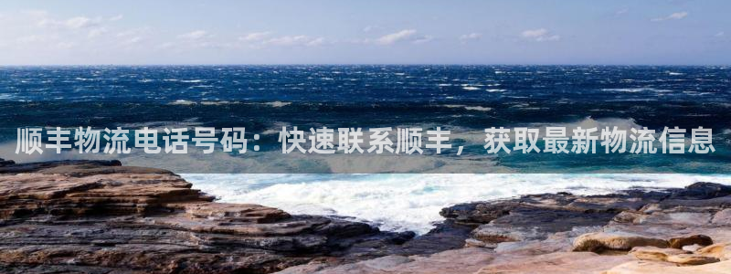 自行车28圈是什么意思：顺丰物流电话