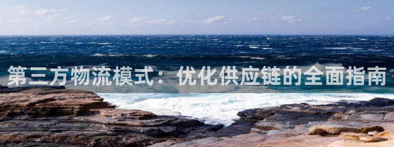 28圈网站平台：第三方物流模式：优化