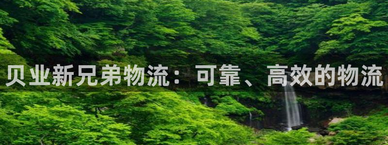 28圈选28ng官网：贝业新兄弟物流