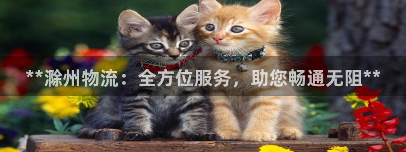 28圈加拿大技巧：**滁州物流：全方