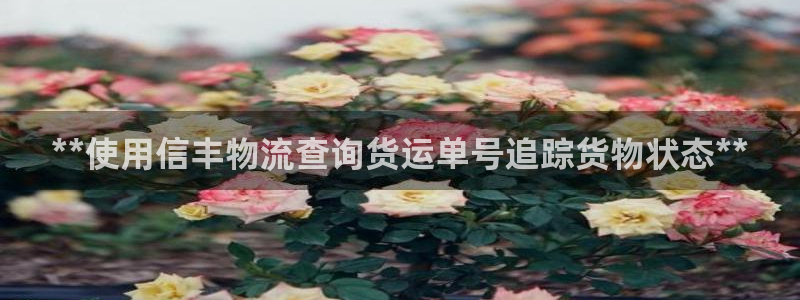 28圈官方网站：**使用信丰物流查询