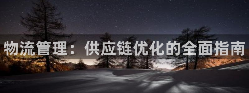 28圈预测网：物流管理：供应链优化的全面指南