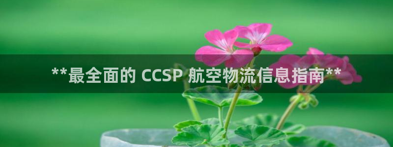 28圈app赢了500万