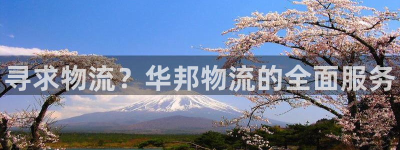 28圈百度百科：寻求物流？华邦物流的