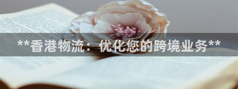28圈哪个最赚钱：**香港物流：优化