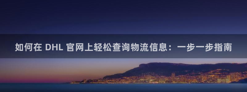28圈退款：如何在 DHL 官网上轻