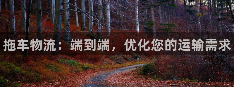 28圈怎么下载不了：拖车物流：端到端