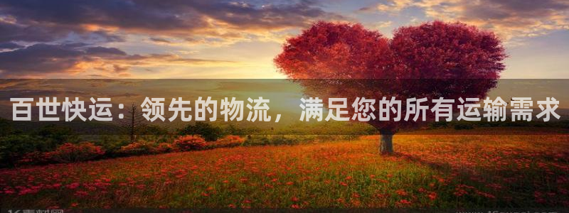 加拿大28圈注册链接：百世快运：领先
