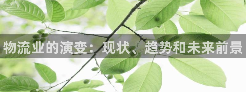 28圈.ccmpc28：物流业的演变