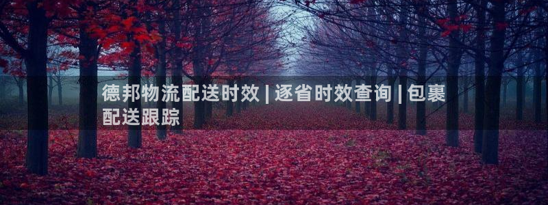 南宫28圈官网版：德邦物流配送时效 