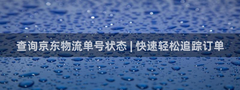 28圈官方网站是多少：查询京东物流单