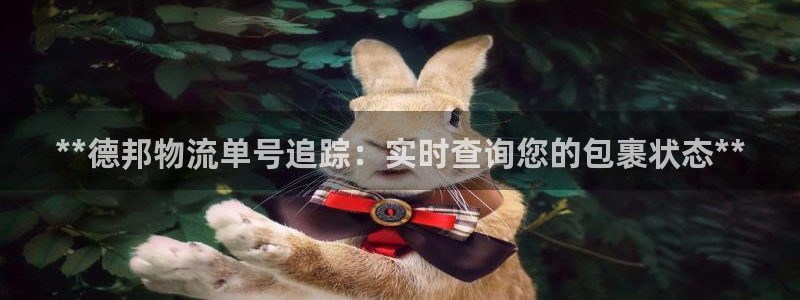 28圈预测网：**德邦物流单号追踪：
