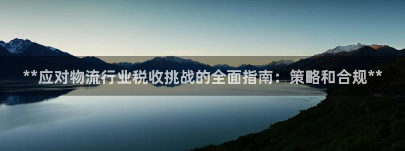 28圈ccm游戏：**应对物流行业税收挑战的全面指南：策略和