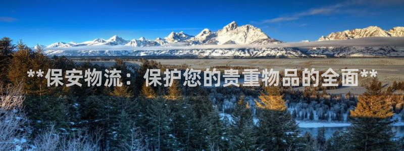 28圈提现不到账：**保安物流：保护