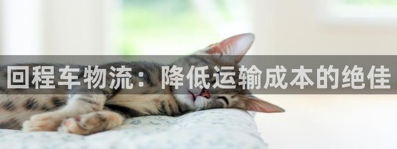28圈注册登录链接流程：回程车物流：