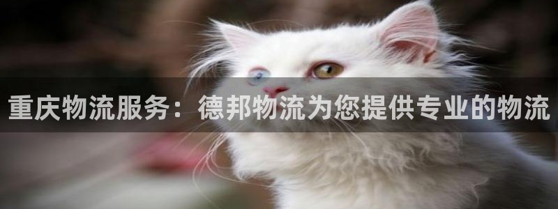 28圈.ccmpcios