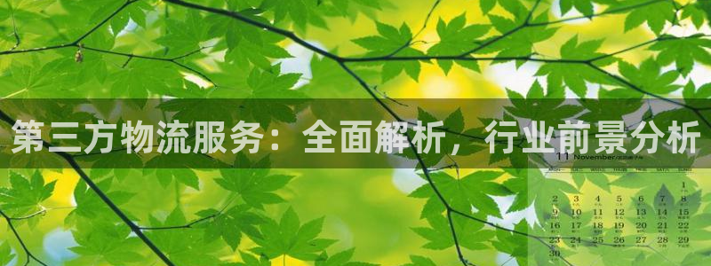 28圈官网多少：第三方物流服务：全面