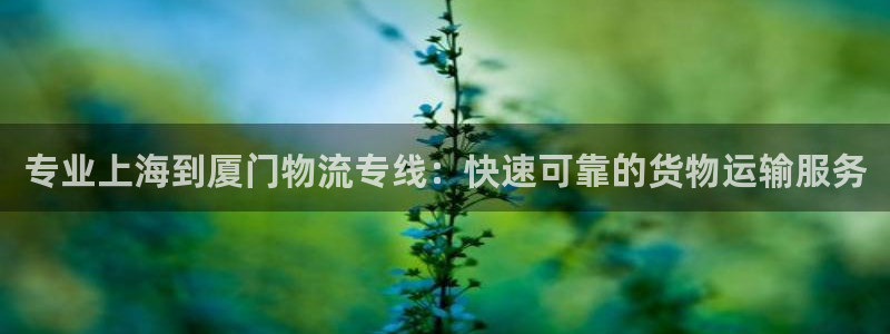 南宫28圈官网版：专业上海到厦门物流